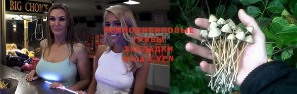 прущий лед Армянск