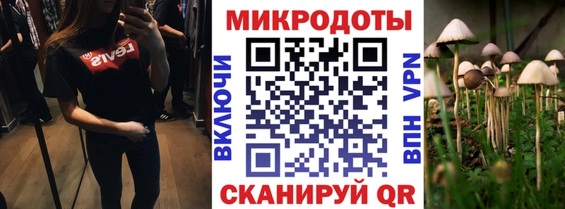 ссылка на мегу как зайти  Снежногорск  Псилоцибиновые грибы MAGIC MUSHROOMS 